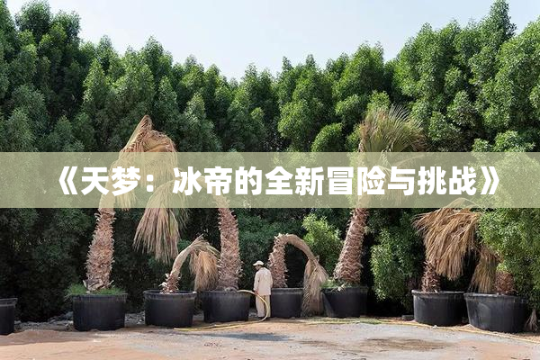 《天梦：冰帝的全新冒险与挑战》