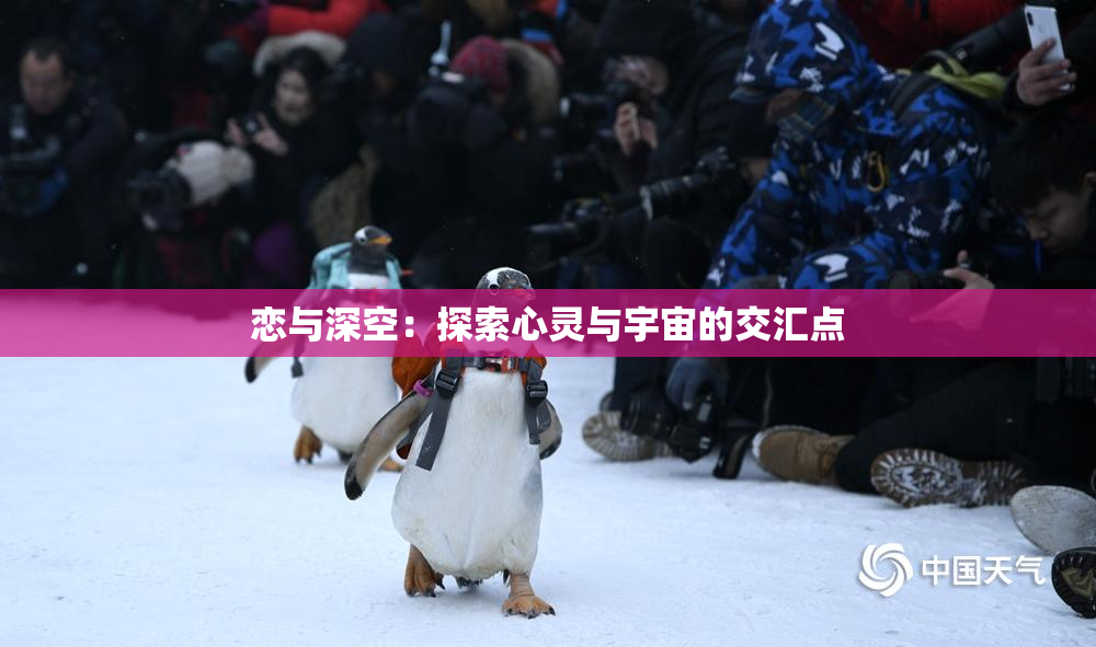 恋与深空：探索心灵与宇宙的交汇点