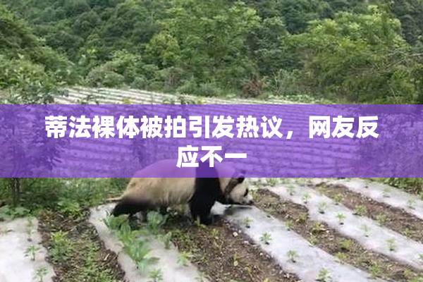 蒂法裸体被拍引发热议，网友反应不一