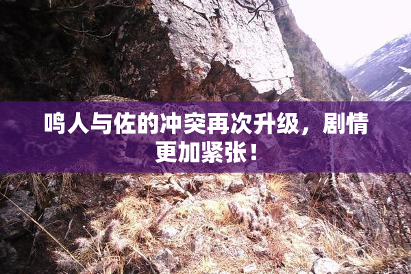 鸣人与佐的冲突再次升级，剧情更加紧张！