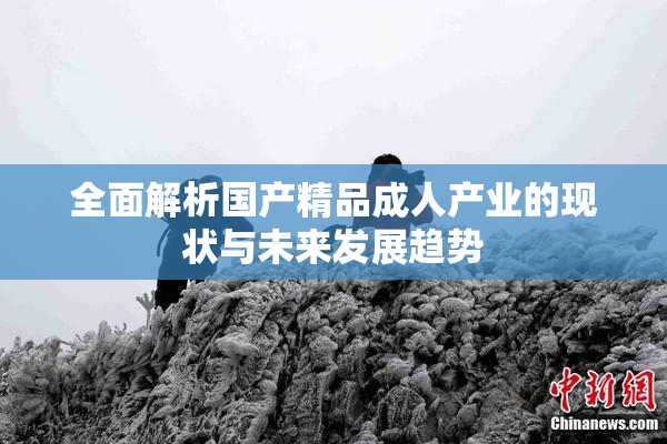 全面解析国产精品成人产业的现状与未来发展趋势