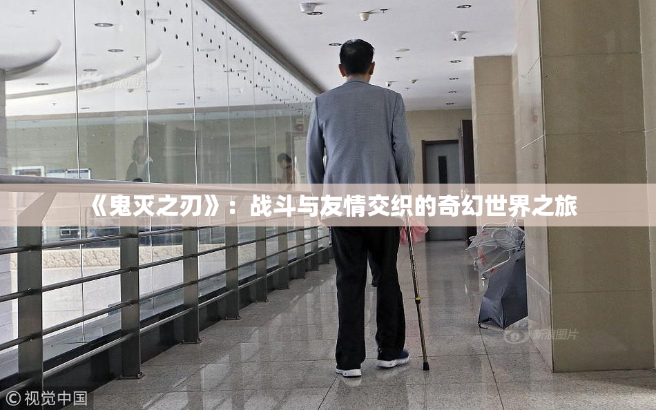 《鬼灭之刃》：战斗与友情交织的奇幻世界之旅