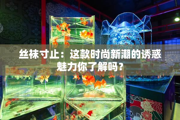 丝袜寸止：这款时尚新潮的诱惑魅力你了解吗？