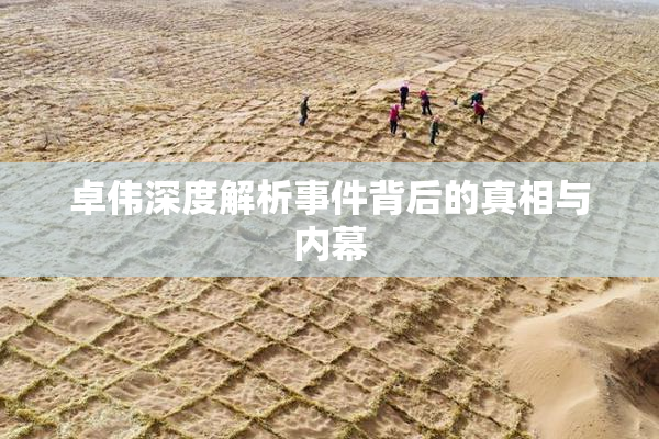 卓伟深度解析事件背后的真相与内幕