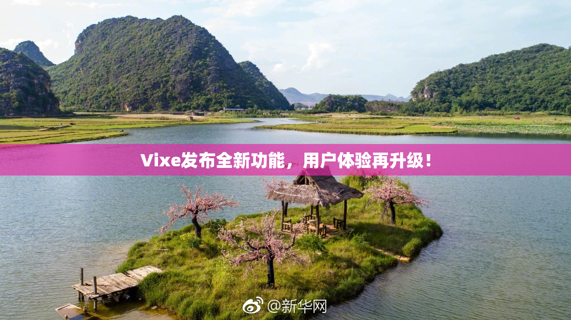 Vixe发布全新功能，用户体验再升级！