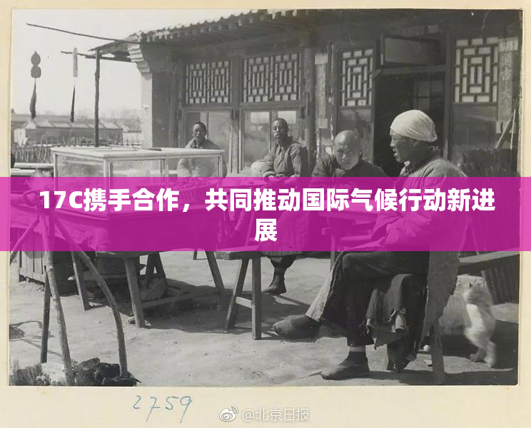 17C携手合作，共同推动国际气候行动新进展