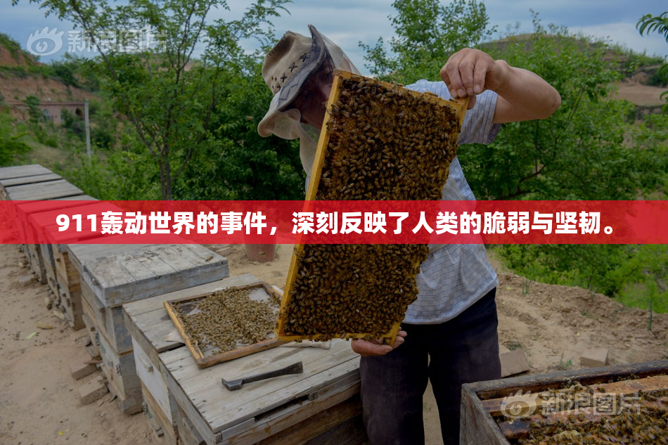 911轰动世界的事件，深刻反映了人类的脆弱与坚韧。