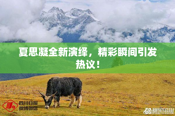 夏思凝全新演绎，精彩瞬间引发热议！
