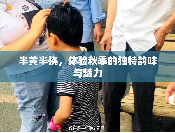 半黄半挠，体验秋季的独特韵味与魅力