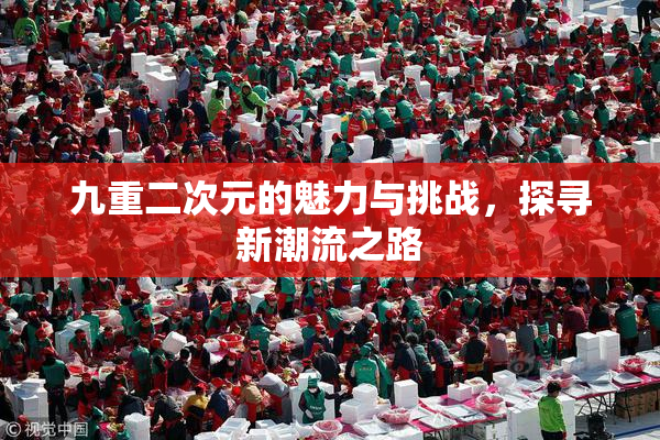 九重二次元的魅力与挑战，探寻新潮流之路