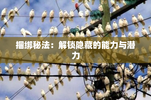 捆绑秘法：解锁隐藏的能力与潜力