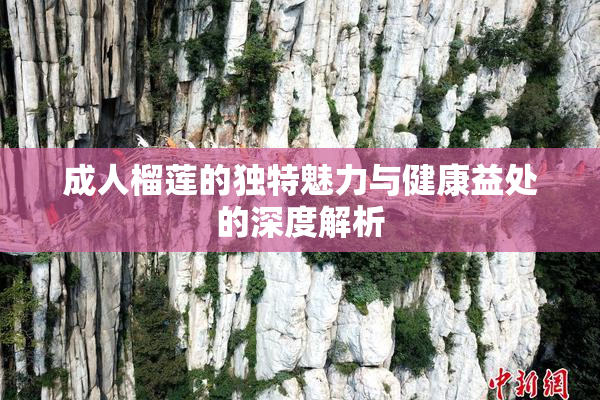 成人榴莲的独特魅力与健康益处的深度解析