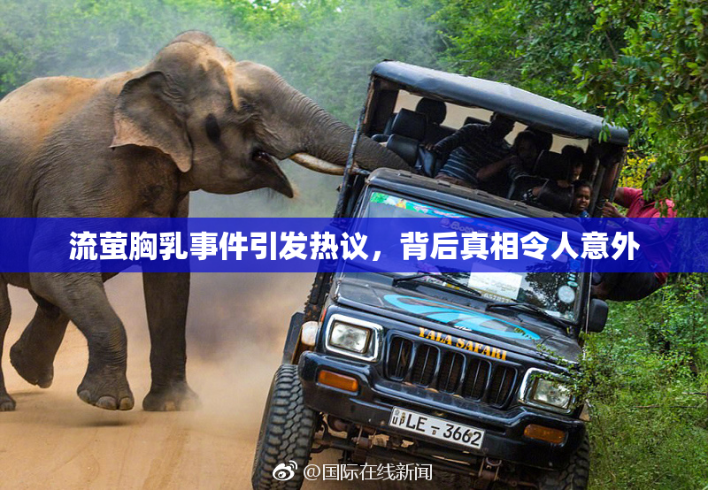 流萤胸乳事件引发热议，背后真相令人意外