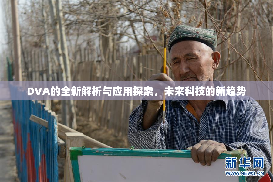 DVA的全新解析与应用探索，未来科技的新趋势