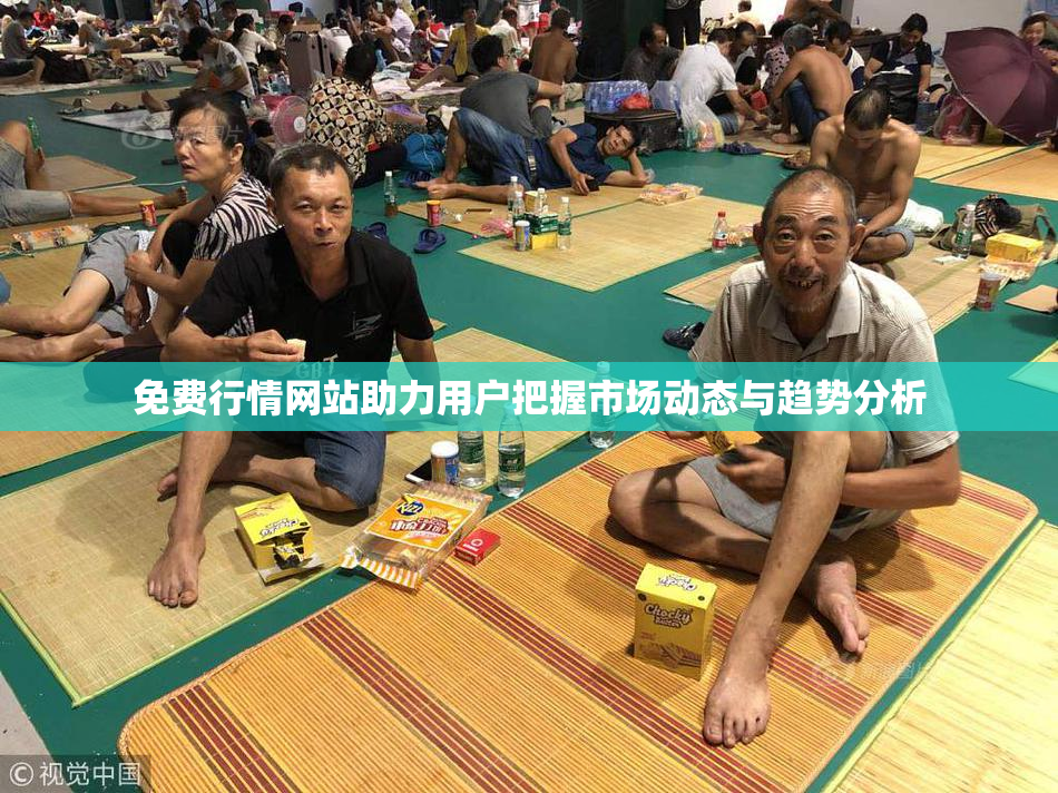 免费行情网站助力用户把握市场动态与趋势分析