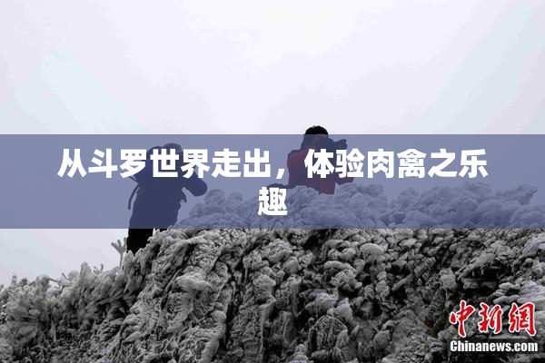 从斗罗世界走出，体验肉禽之乐趣