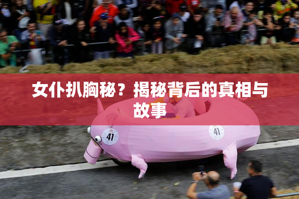 女仆扒胸秘？揭秘背后的真相与故事