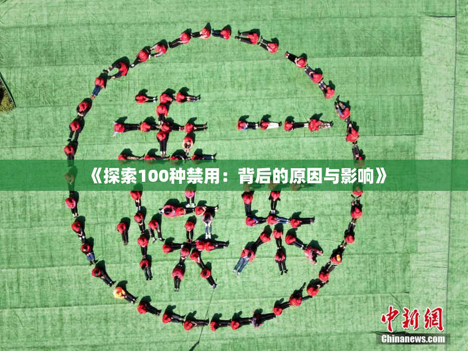 《探索100种禁用：背后的原因与影响》