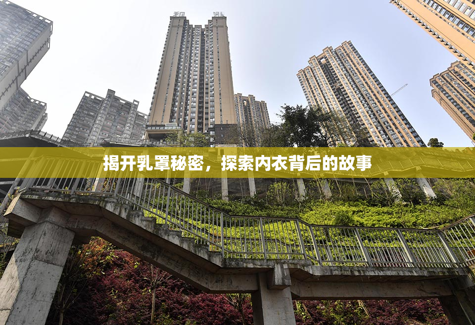 揭开乳罩秘密，探索内衣背后的故事
