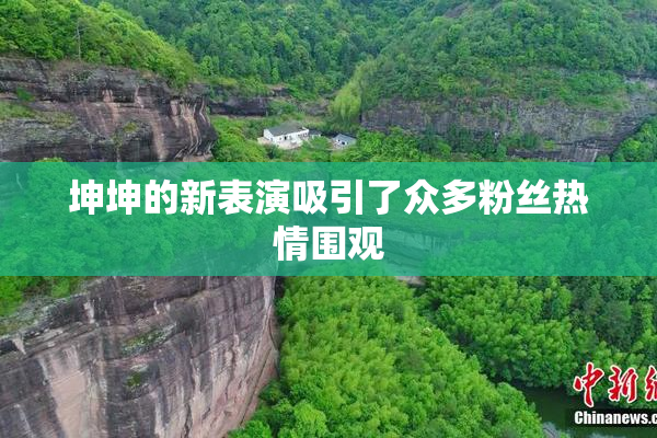 坤坤的新表演吸引了众多粉丝热情围观