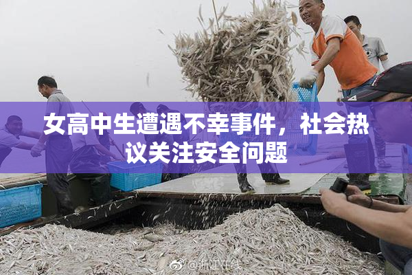 女高中生遭遇不幸事件，社会热议关注安全问题