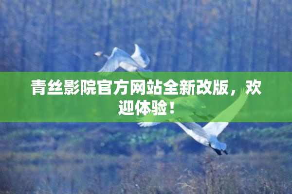 青丝影院官方网站全新改版，欢迎体验！