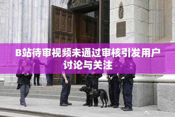B站待审视频未通过审核引发用户讨论与关注
