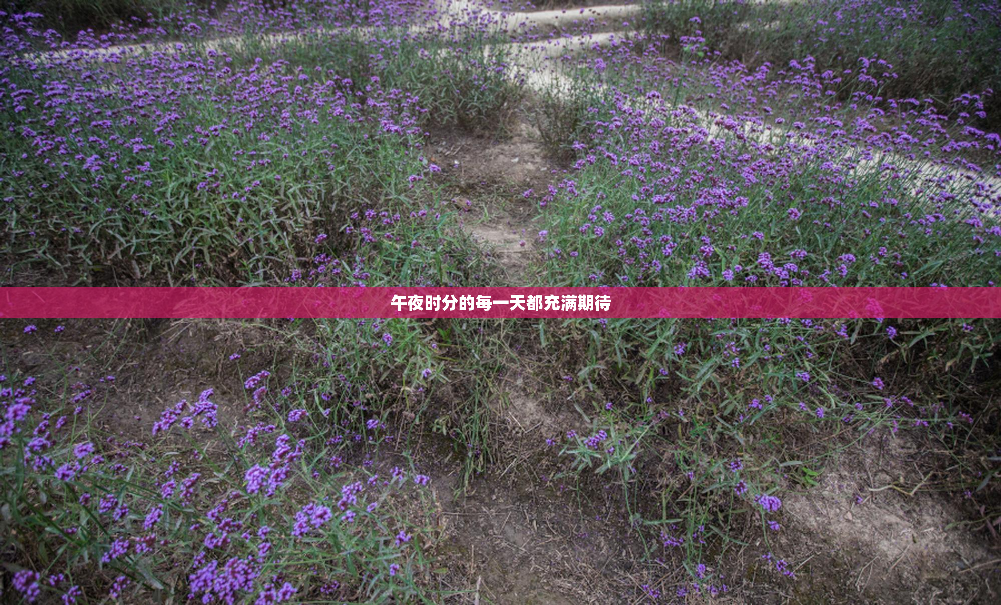 午夜时分的每一天都充满期待