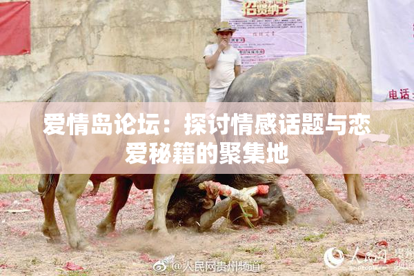 爱情岛论坛：探讨情感话题与恋爱秘籍的聚集地