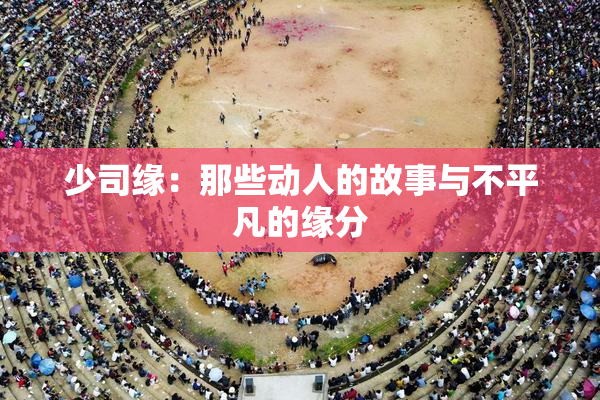 少司缘：那些动人的故事与不平凡的缘分