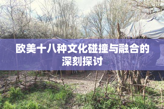 欧美十八种文化碰撞与融合的深刻探讨