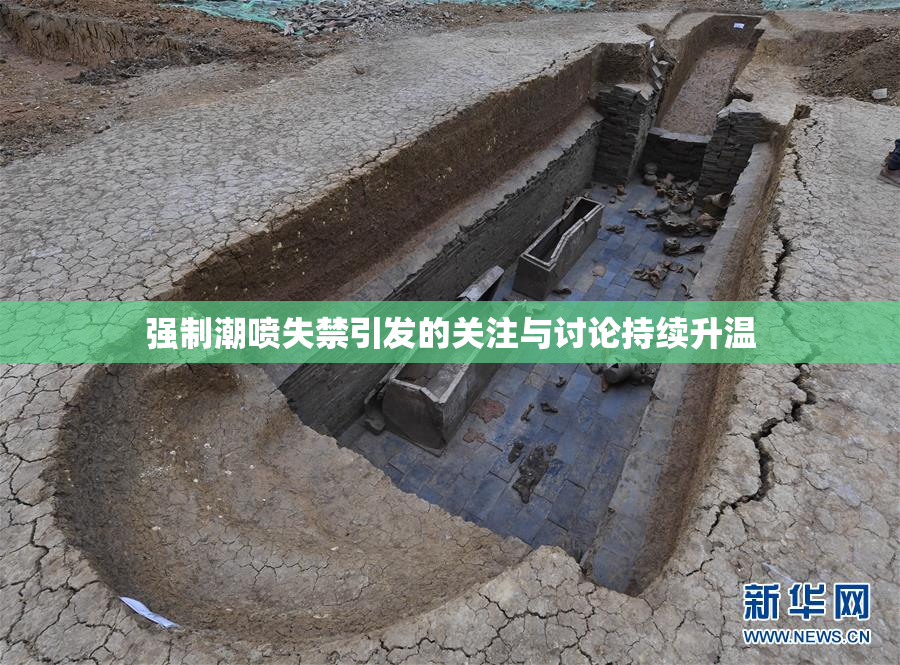 强制潮喷失禁引发的关注与讨论持续升温