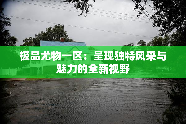 极品尤物一区：呈现独特风采与魅力的全新视野