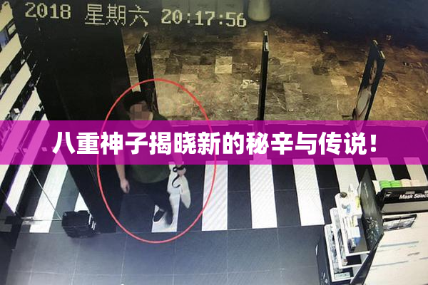 八重神子揭晓新的秘辛与传说！