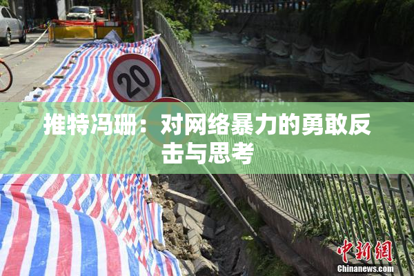 推特冯珊：对网络暴力的勇敢反击与思考
