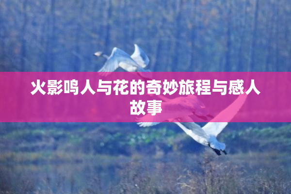 火影鸣人与花的奇妙旅程与感人故事