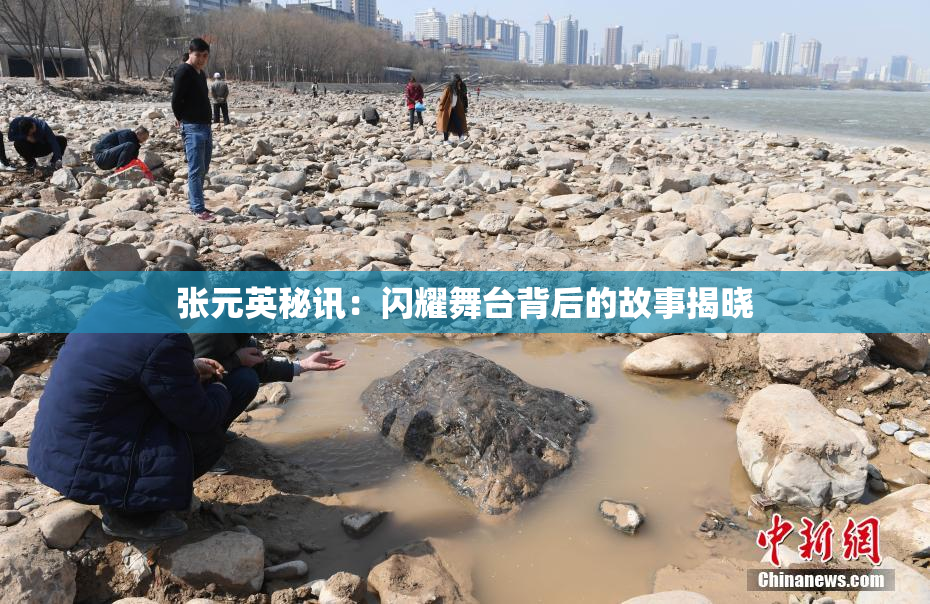 张元英秘讯：闪耀舞台背后的故事揭晓