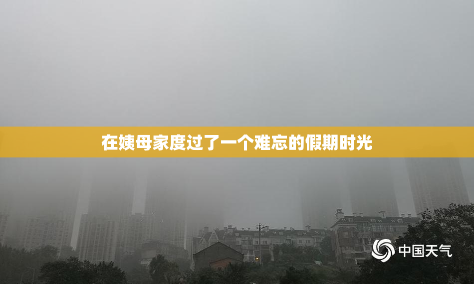 在姨母家度过了一个难忘的假期时光