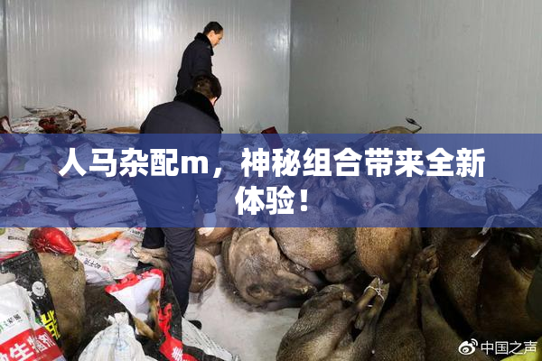人马杂配m，神秘组合带来全新体验！