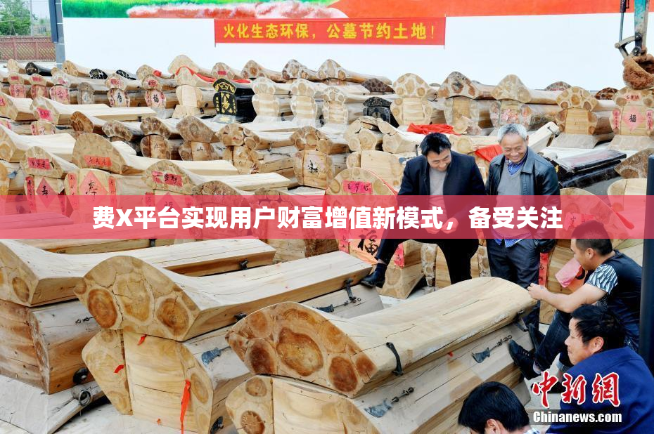 费X平台实现用户财富增值新模式，备受关注
