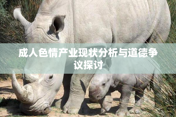 成人色情产业现状分析与道德争议探讨