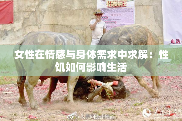 女性在情感与身体需求中求解：性饥如何影响生活