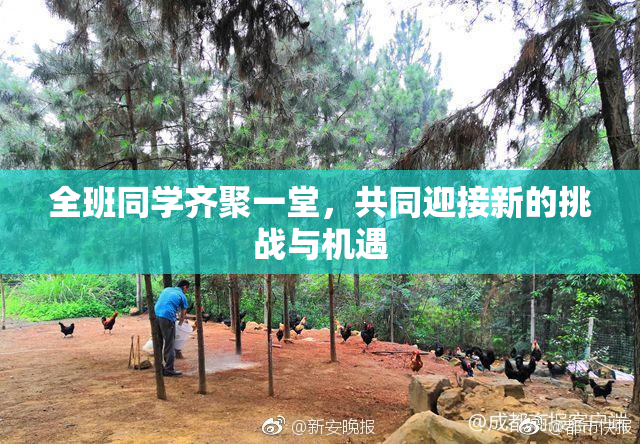 全班同学齐聚一堂，共同迎接新的挑战与机遇