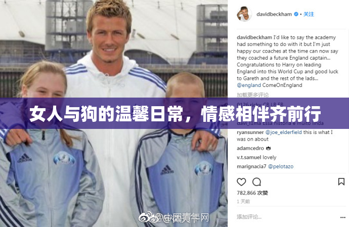 女人与狗的温馨日常，情感相伴齐前行