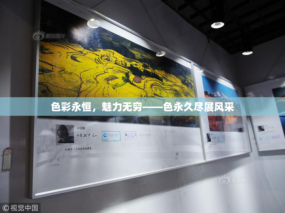 色彩永恒，魅力无穷——色永久尽展风采