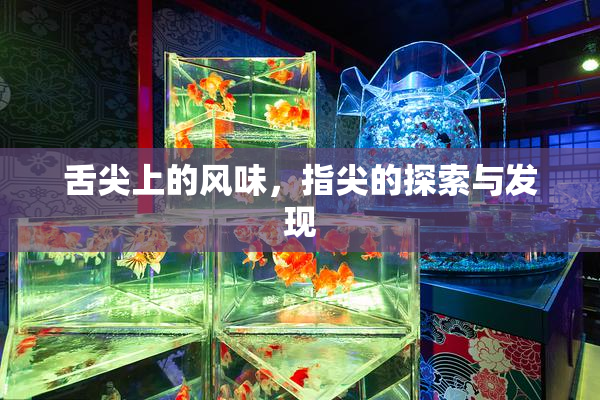 舌尖上的风味，指尖的探索与发现