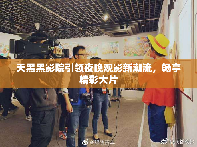 天黑黑影院引领夜晚观影新潮流，畅享精彩大片