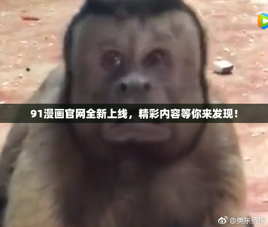 91漫画官网全新上线，精彩内容等你来发现！