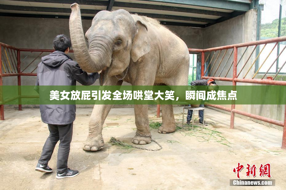 美女放屁引发全场哄堂大笑，瞬间成焦点