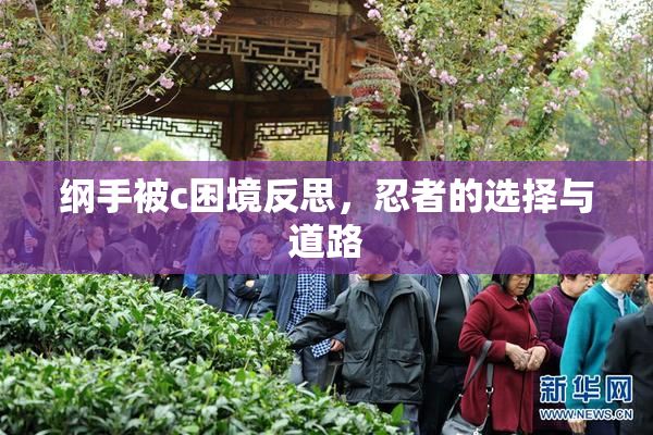 纲手被c困境反思，忍者的选择与道路